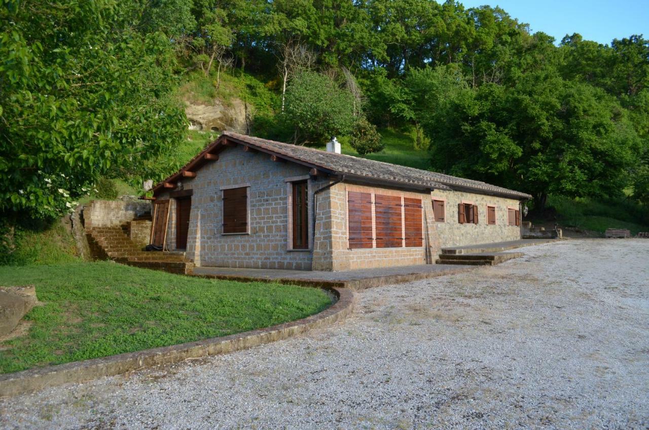 Casa Sorgente Apartment Montefiascone Exterior photo
